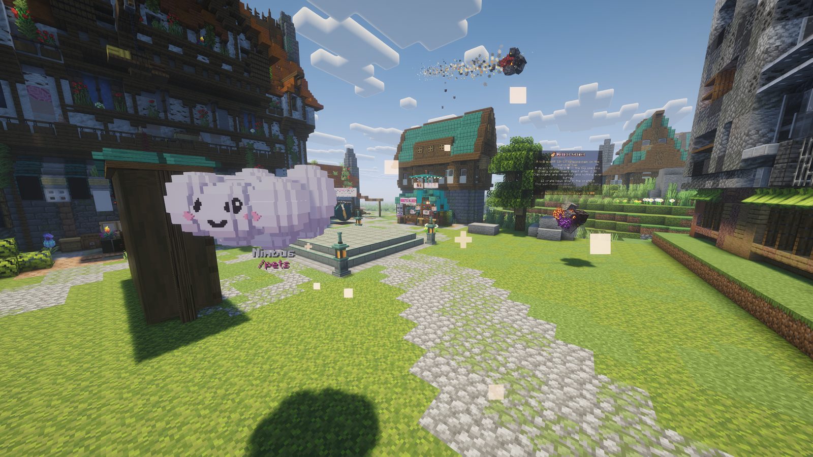 Nimbus, the cloud pet, at spawn